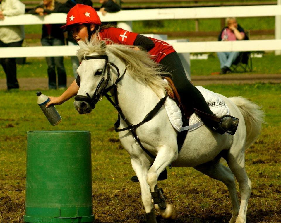 Welsh Mountain (sec A) Bjerregaards-Lillepigen "soulmate" - 25. Liller og simone til nissecup i sverige med u-12 landsholdet :) billede 20