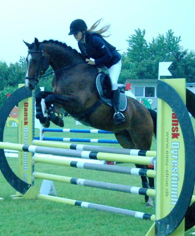 Westfaler Pianissimo billede 1