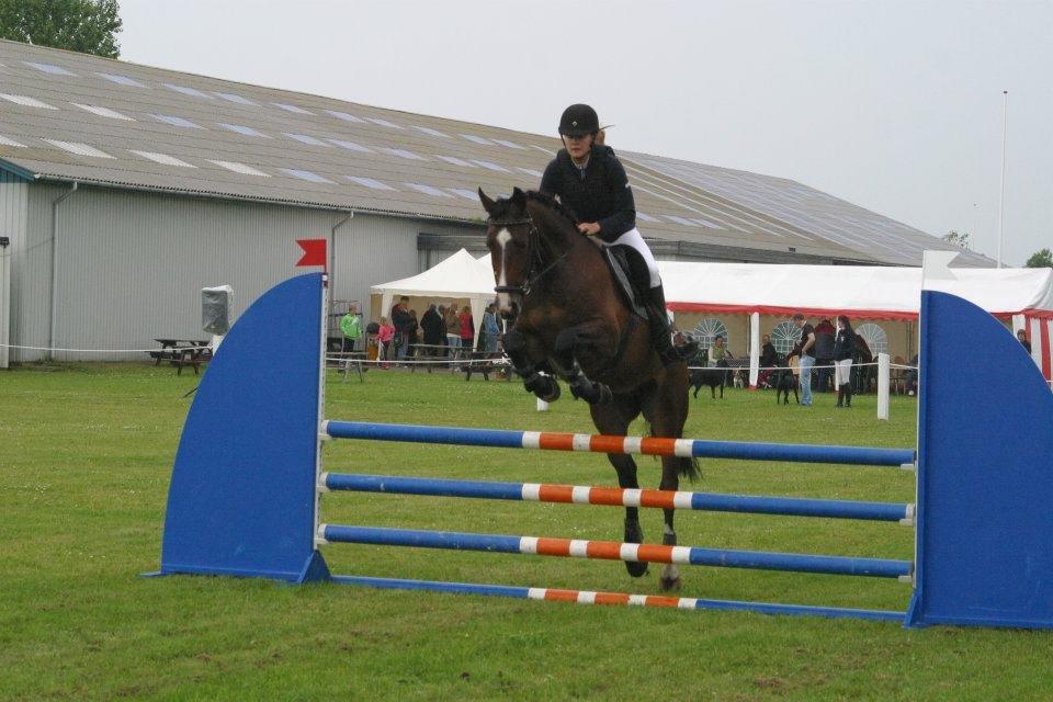 Westfaler Pianissimo billede 2