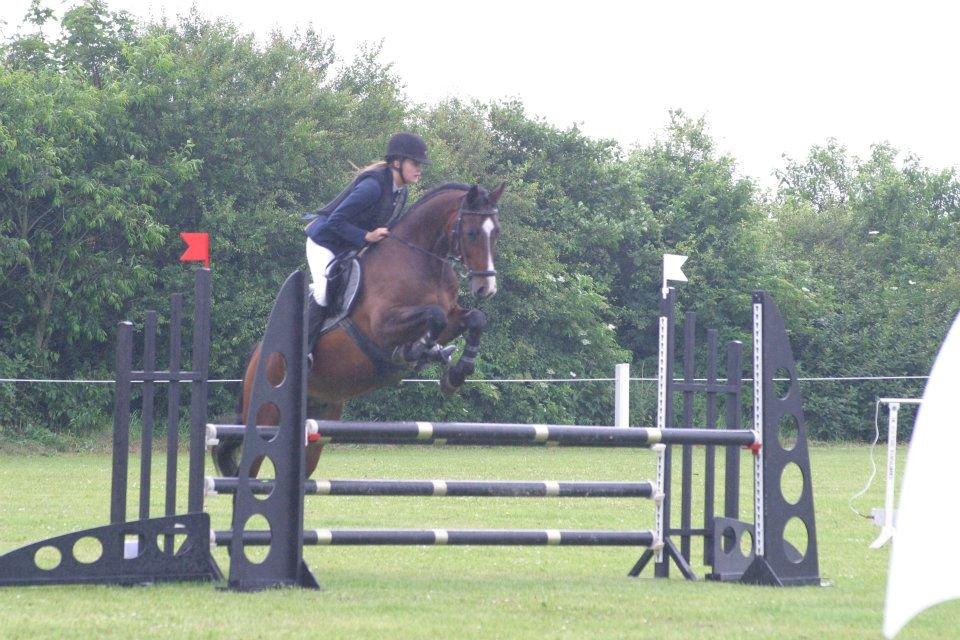 Westfaler Pianissimo billede 3