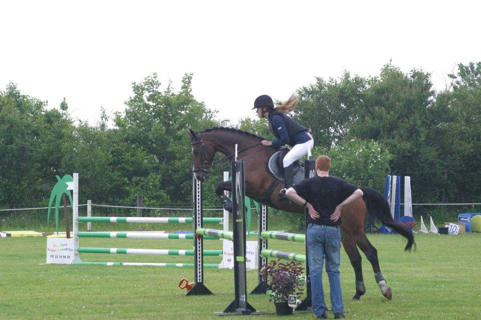 Westfaler Pianissimo billede 4