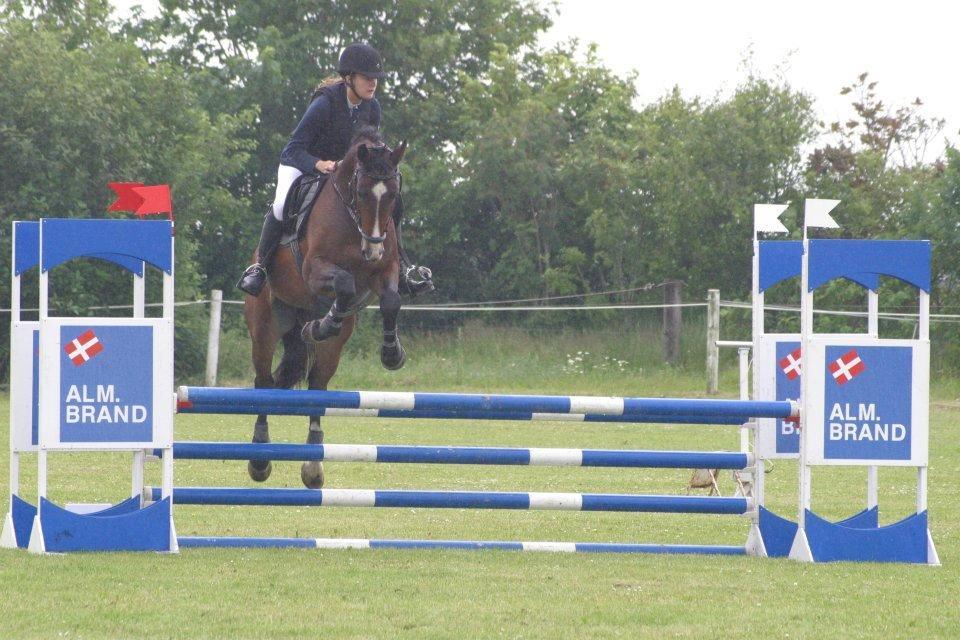 Westfaler Pianissimo billede 5