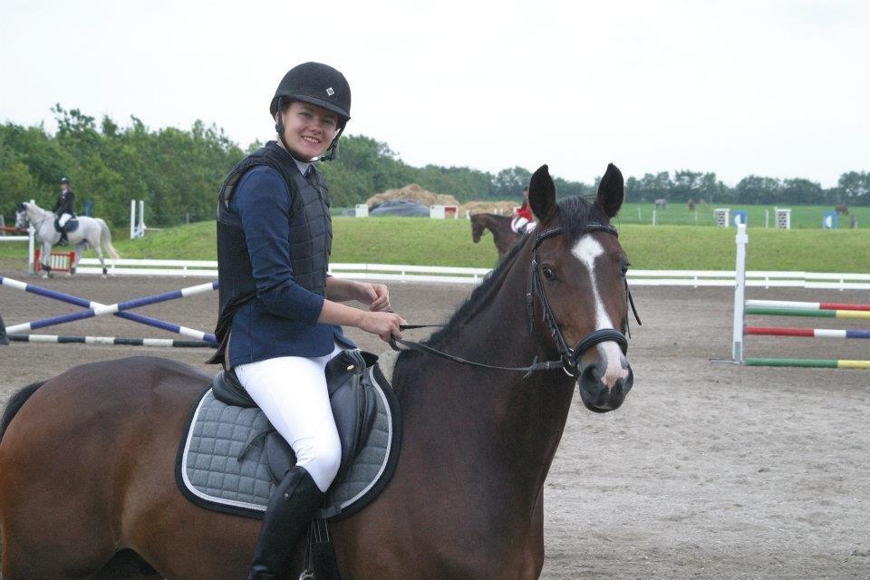 Westfaler Pianissimo billede 6