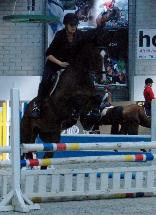 Westfaler Pianissimo billede 7