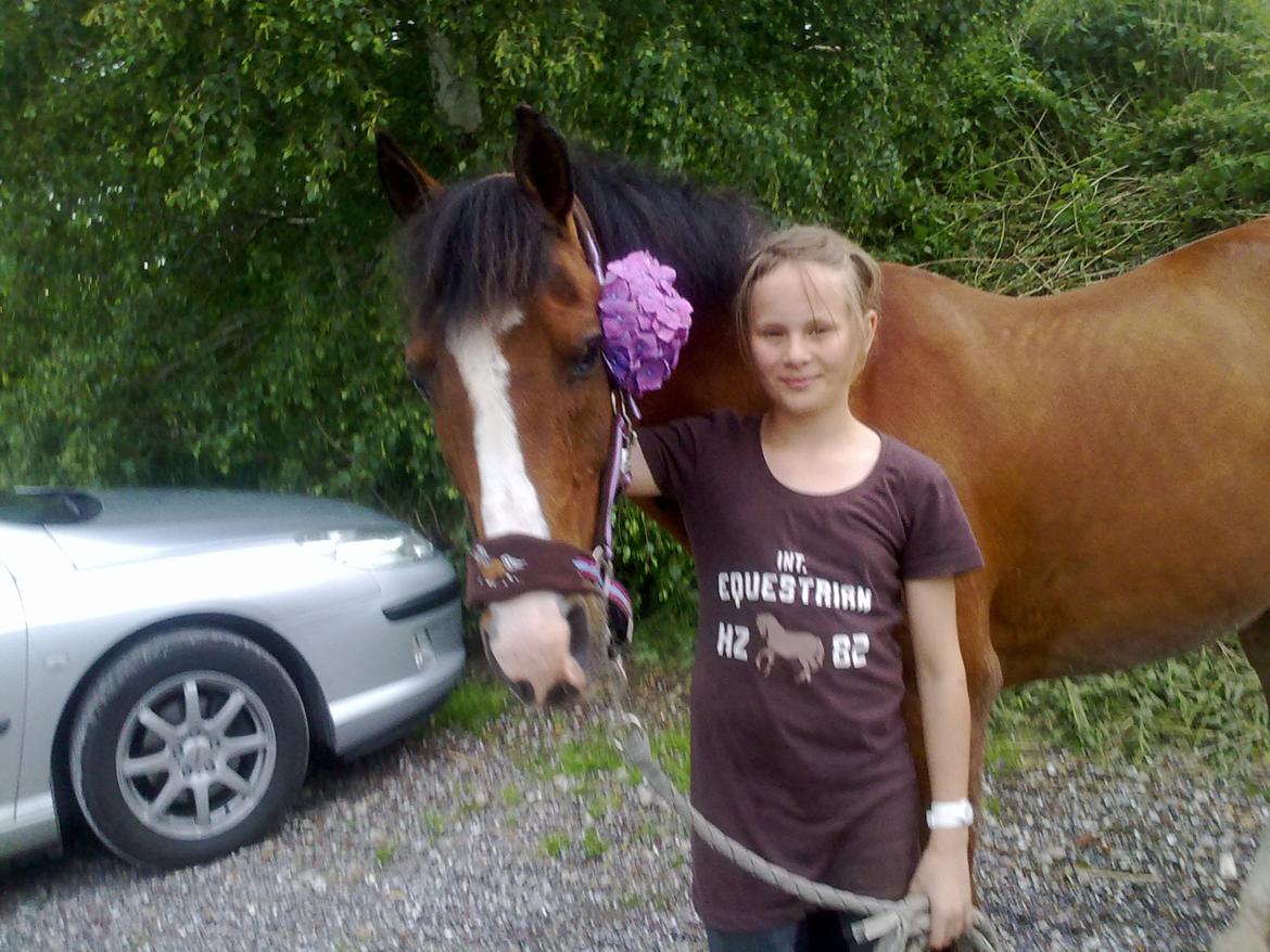 DSP Grande Macho billede 6