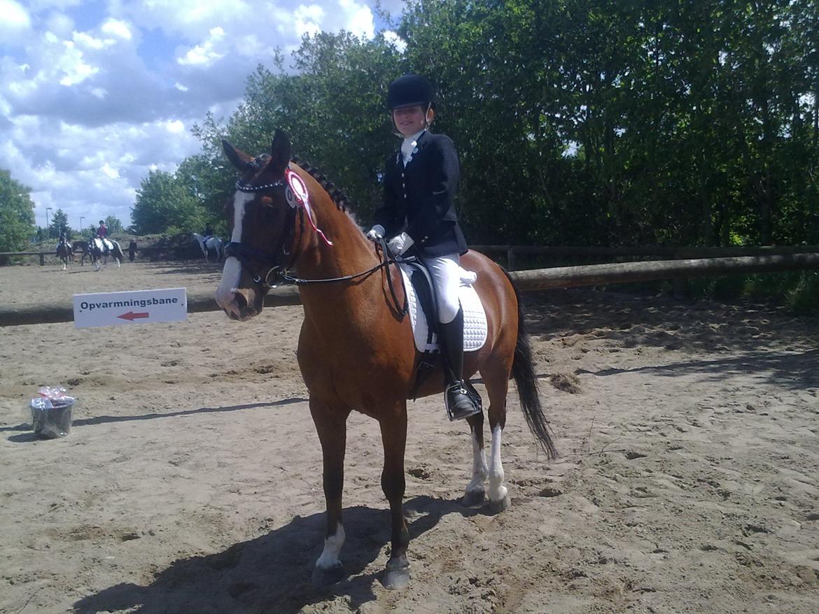 DSP Grande Macho billede 7