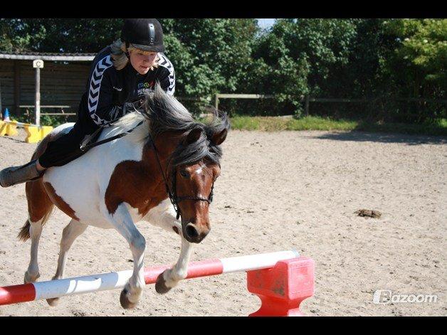 Anden særlig race Malou - Sommerdag med Malou :-)
<br>
<br>
Foto: Emma Rasmussen :-) billede 7