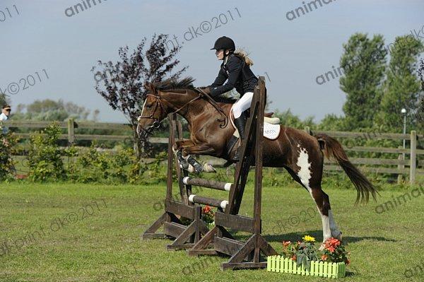 Hollandsk Sportspony Ainoa Van Uniken - Stævne V-spring:) :)  billede 18