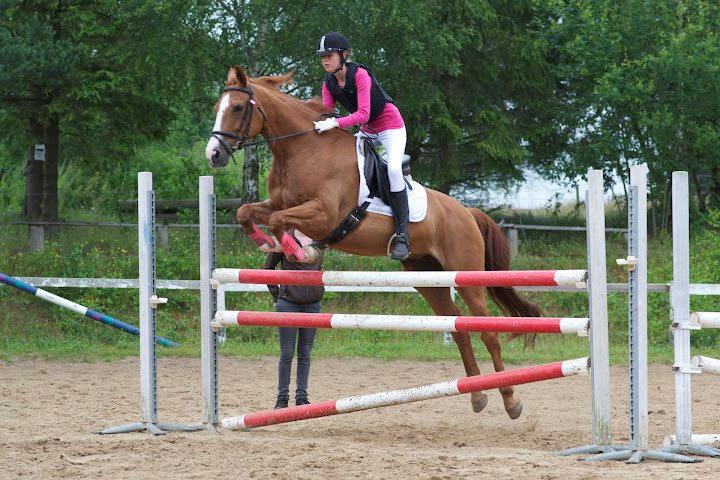 Dansk Varmblod Candy Floss - Højdespringning på ridelejr:) billede 10