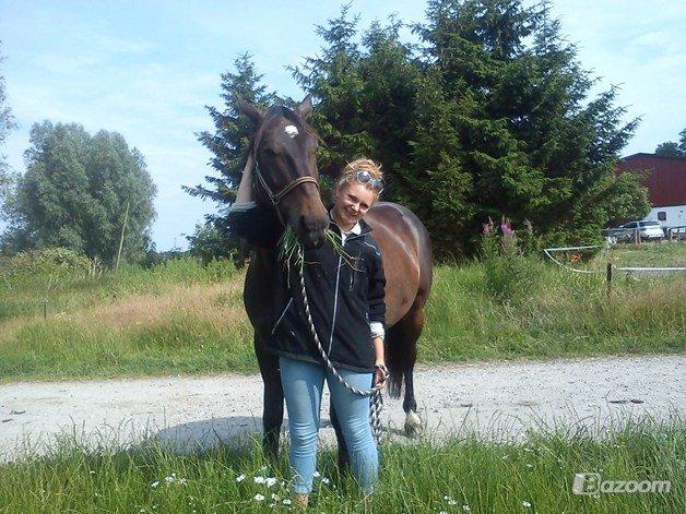 Anden særlig race Qato billede 19