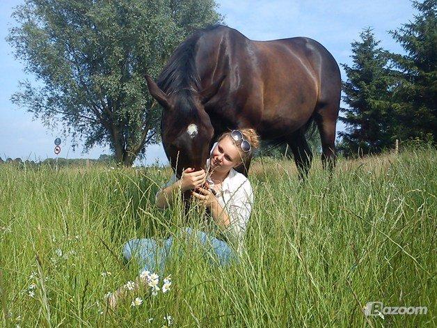 Anden særlig race Qato billede 8