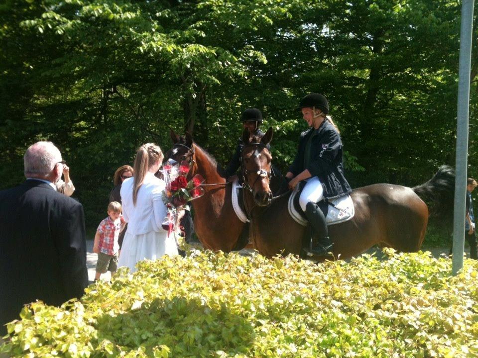 Tysk Sportspony Nixe Noel - 11: Mig og bellis kom ned i kirken til berdis konfirmation! Noa synes det var rigtig spændende! <3

Foto - Susanne Mainz billede 13