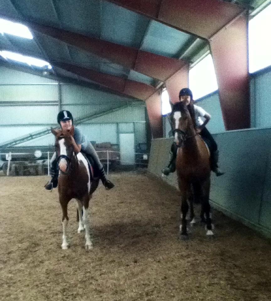 Anden særlig race Sheeba billede 11