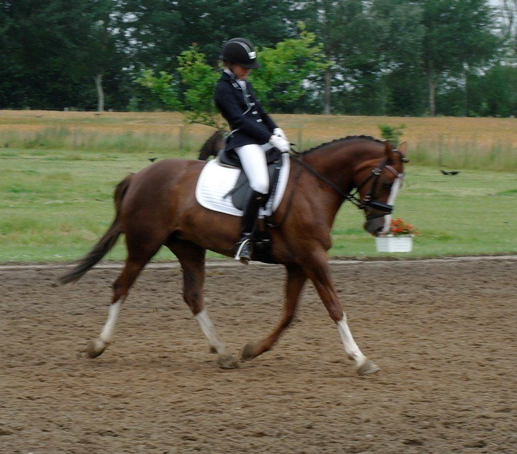 DSP Donnivi - Til stævne i Åstrup red LC1 til 67,92% en 2.plads og LC3 til 71,25% en 1.plads. billede 11