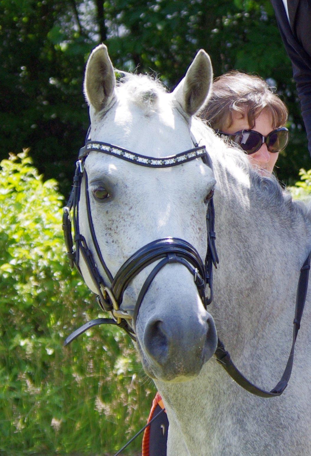 DSP Toftegaard's Hurricane SPH 182 <3 *A-Pony* - Du er fantastisk! <3
 billede 8