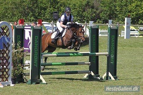 Welsh Partbred (Sec F) GROEZE'S JOSINA - Josina og Julie Klausen (gamle ejer) :-D billede 9