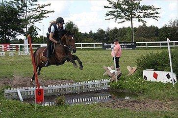 Welsh Partbred (Sec F) GROEZE'S JOSINA - Josina og Julie  billede 16