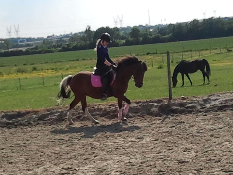 Anden særlig race Frig - Mig og Frigge! :) <3 billede 6