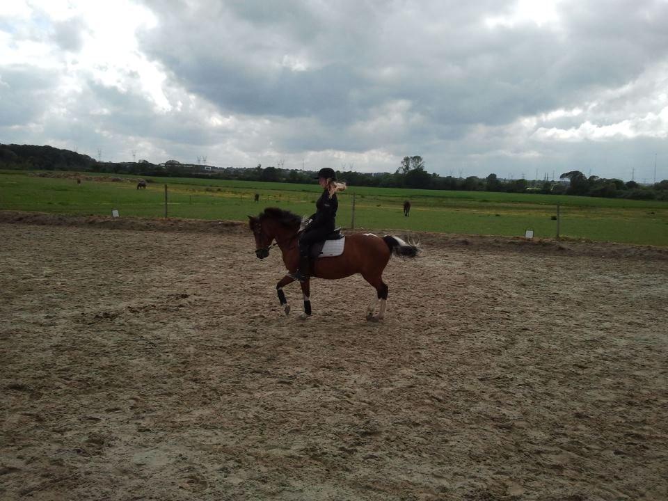 Anden særlig race Frig - Mig og Frig!!<3 billede 7