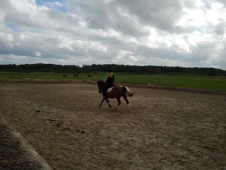 Anden særlig race Frig - Mig og Frig (schenkelvigning)<3 billede 8