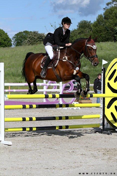 Dansk Varmblod Trekroners La' Cour - La'Cour i en LA til Riders Cup billede 1