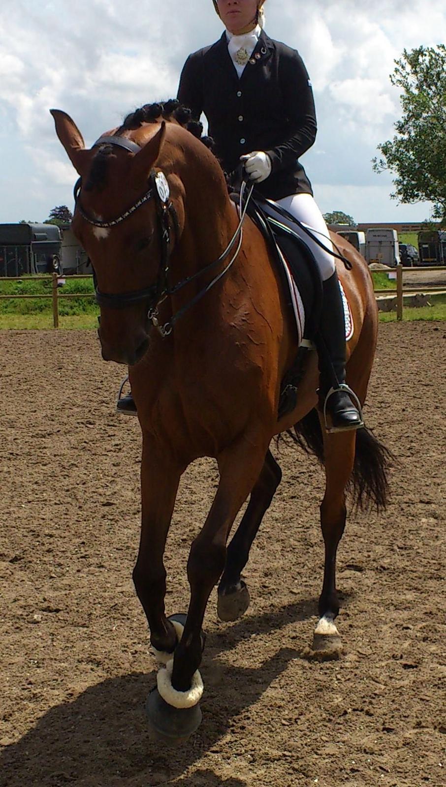 Dansk Varmblod Ponjaei - Juni 2012 billede 16