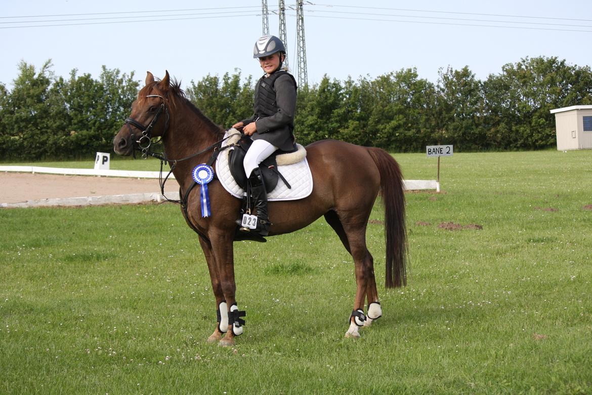 Hollandsk Sportspony B-PONY! Butterfly.  - C-stævne i Svebølle. 2. plads i LA. billede 10
