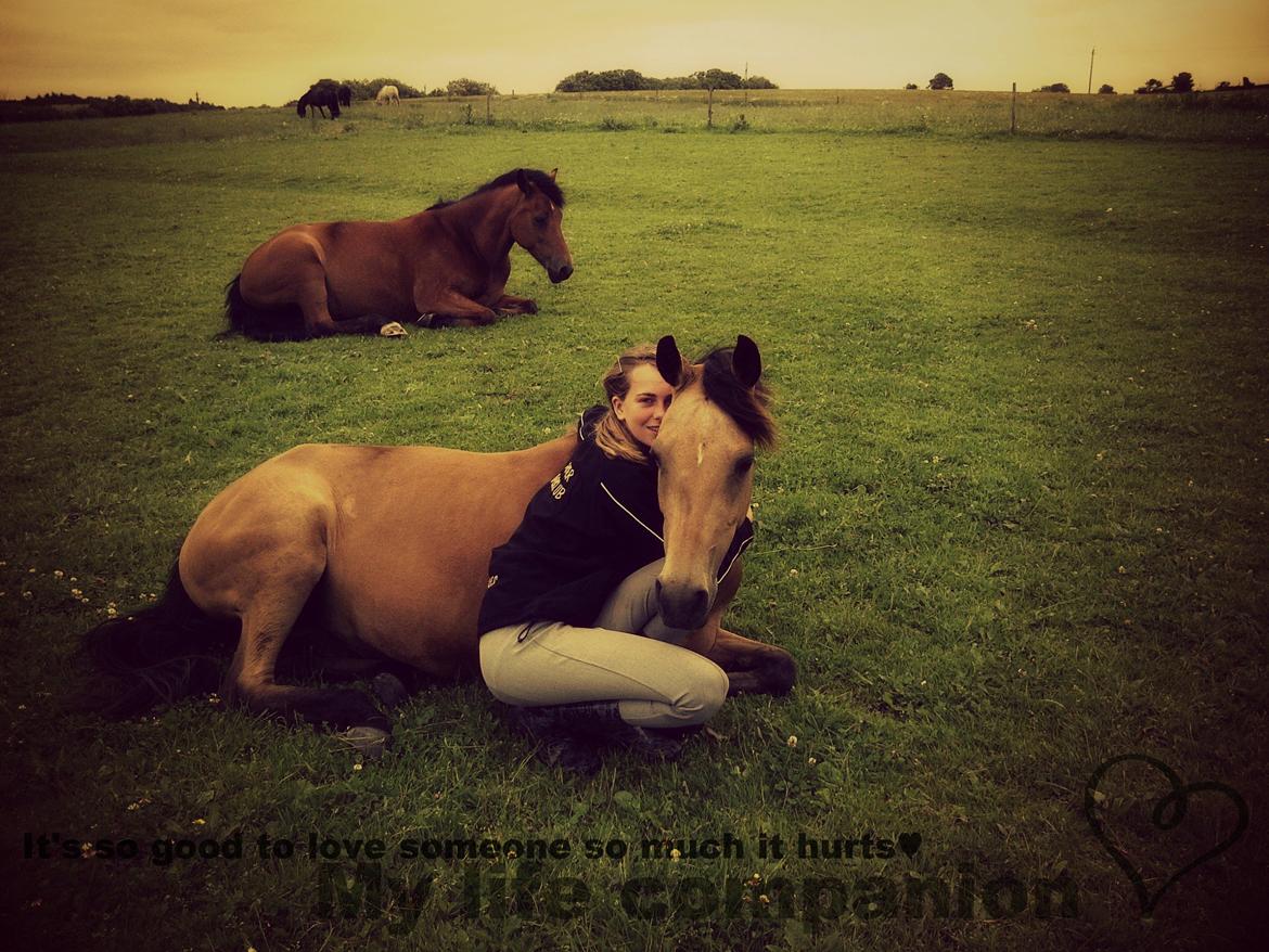 DSP Anemone Wales  - Awhh♥
My Baby♥ billede 20