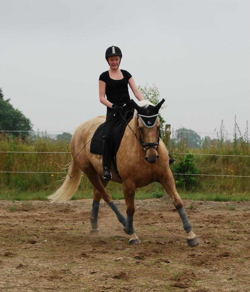 Palomino Axélls Bette Davis - Velkommen til Bette's profil!! 
Dressur på banen, den 7. juli 2012.. billede 1