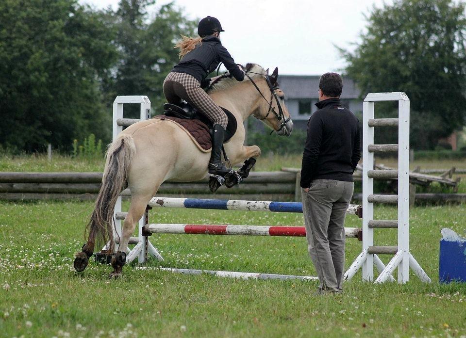 Fjordhest ZEUS *Udlånt* - Springundervisning d. 10-07-2012 <3
Foto: Baun Photo billede 19
