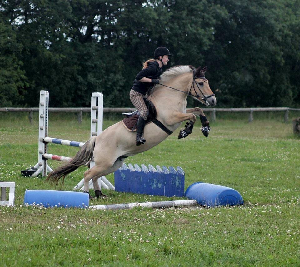 Fjordhest ZEUS *Udlånt* - Springundervisning d. 10-07-2012 VANDGRAV :D
Foto: Baun Photo billede 18