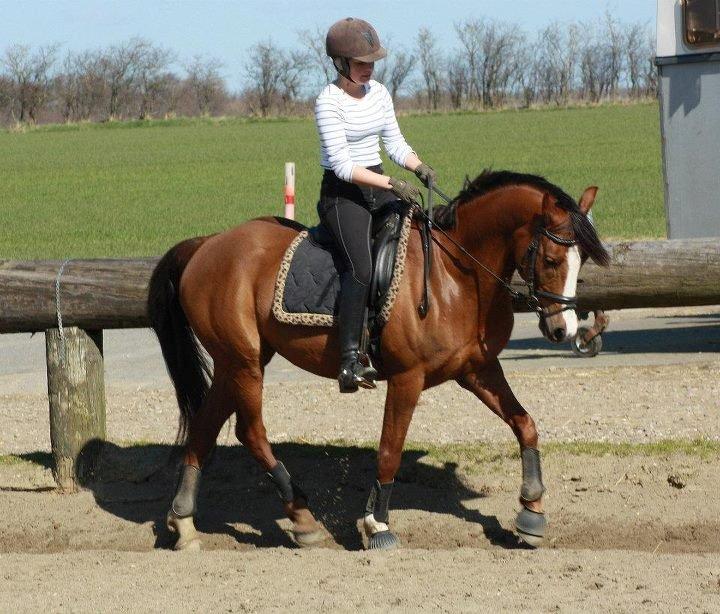 DSP Sønderlund Sharon billede 17