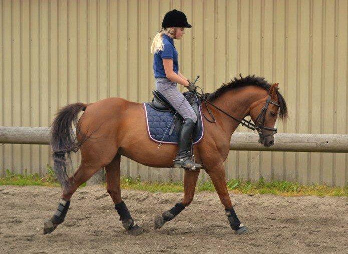 DSP Sønderlund Sharon billede 9