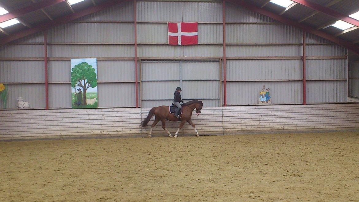 Anden særlig race Hedegårds My Precious - Precious og mig d. 11/7-12 billede 2