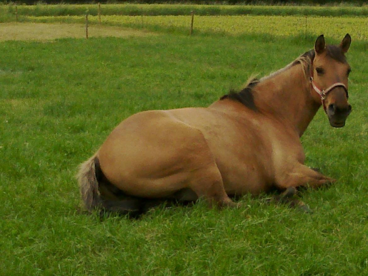 Anden særlig race Sweedy<3 - Jaaaja, Jeg hygger miig billede 13