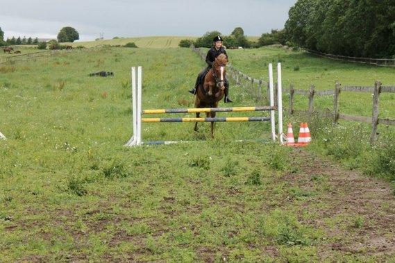 New Forest Flicka! <3 - Fotograf: Sandra:) billede 4