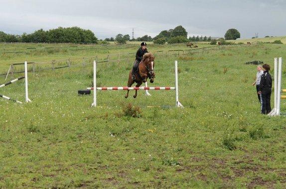 New Forest Flicka! <3 - Fotograf: Sandra:) billede 10