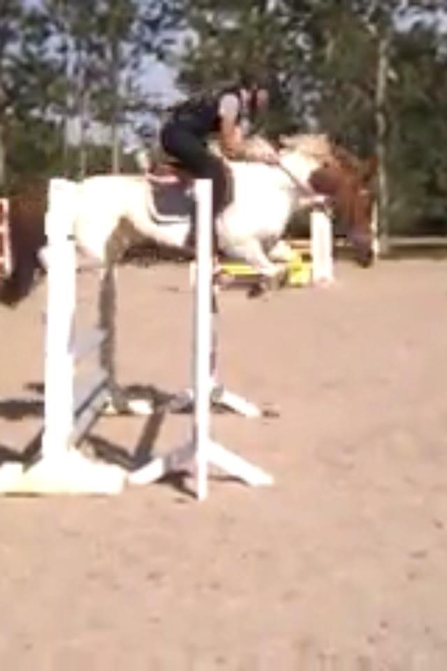 Anden særlig race Tarzan billede 15