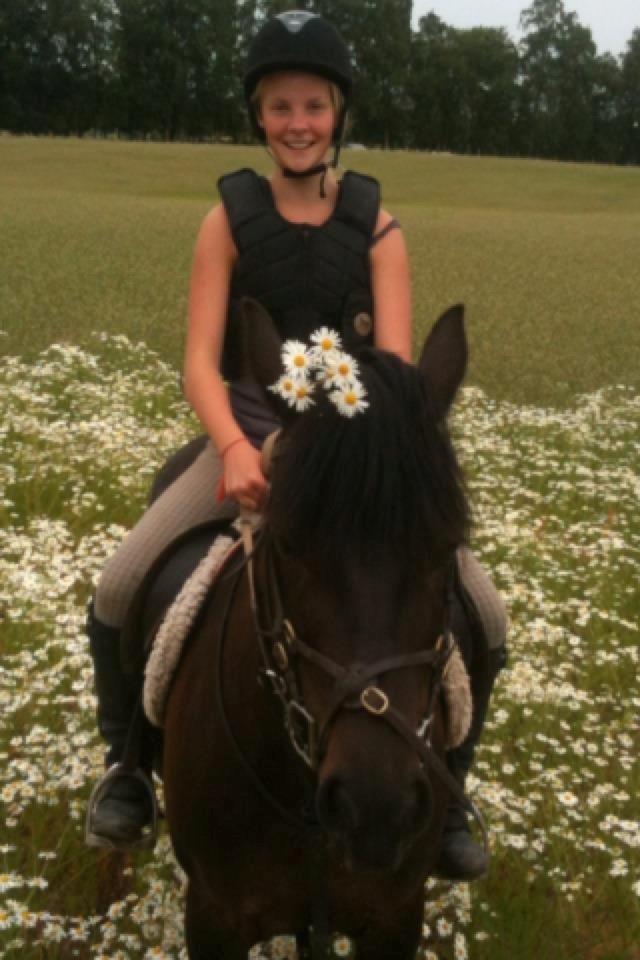 Connemara Jasmin - Ude på tur på blomstermarken:-D
Taget af: Andrea. billede 10