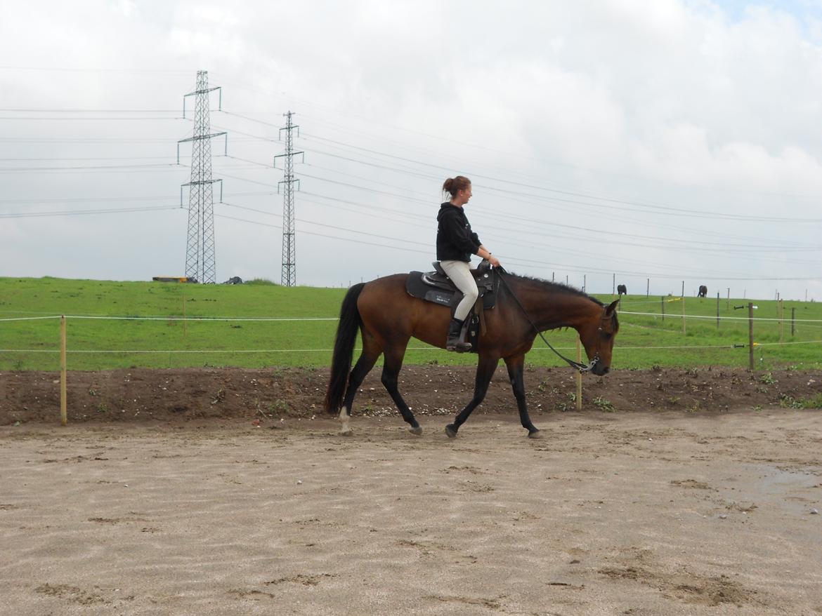 Quarter Really A Catalyst billede 19