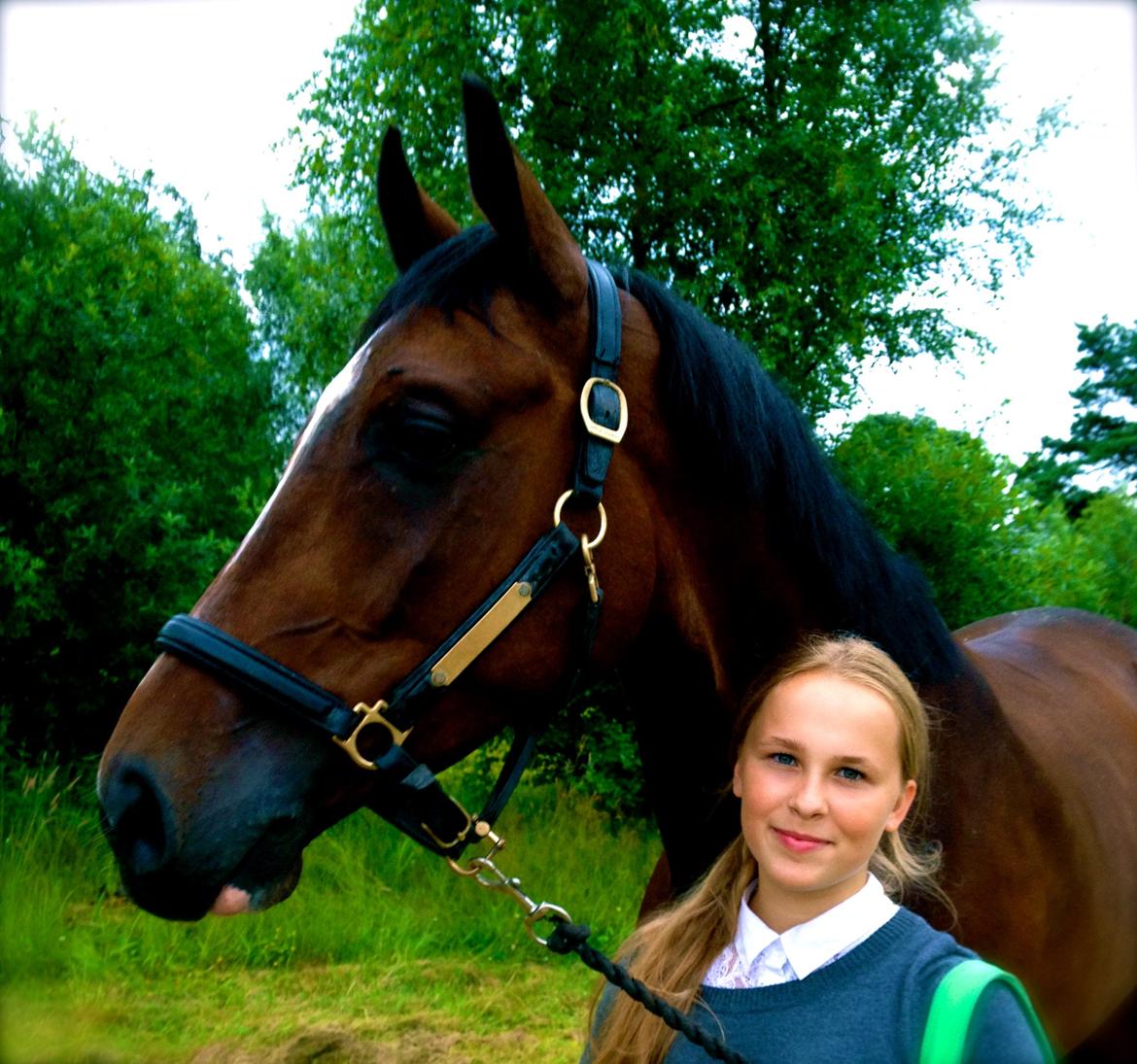 Trakehner Lasse e. Buddenbrock - min hest, er bedst ! billede 13