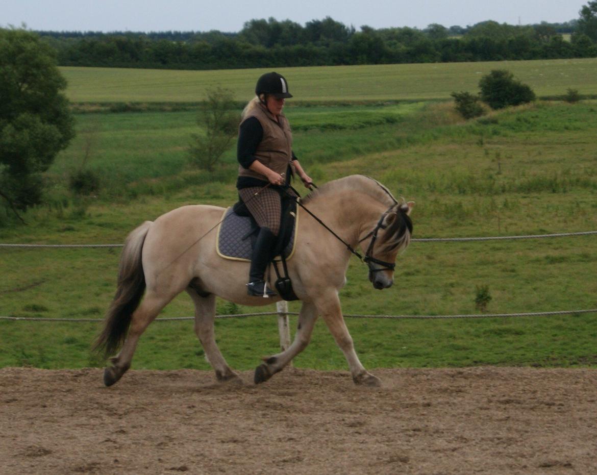 Fjordhest Baune Frølunde *SOLGT* - Baune og mig d.12 juli 2012 billede 12