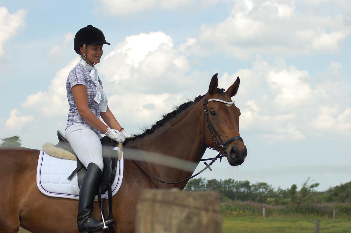 Dansk Varmblod Skovtoftens It's a Bella - Velkommen til Bellas profil

- stævne i hodsager 2012 billede 1