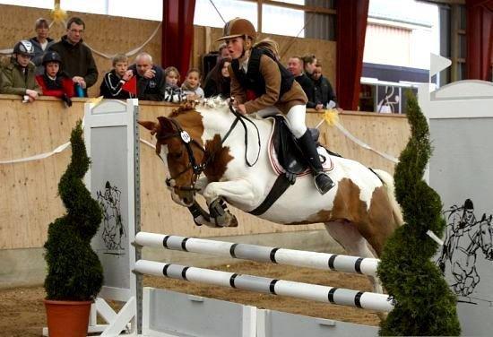 Anden særlig race Sillepigen - Sille-pigen med gamle rytter Rigmor billede 3