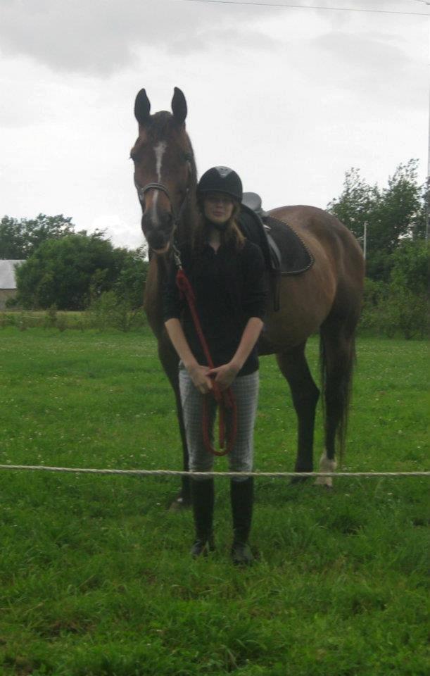 Dansk Varmblod Jacqueline Løwenskjold billede 3