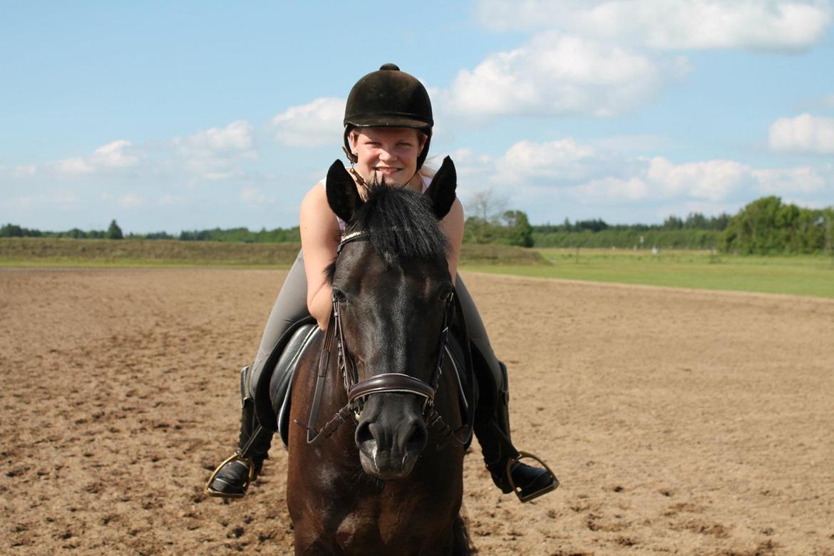 New Forest Vognmandsgården Alkatraz billede 1