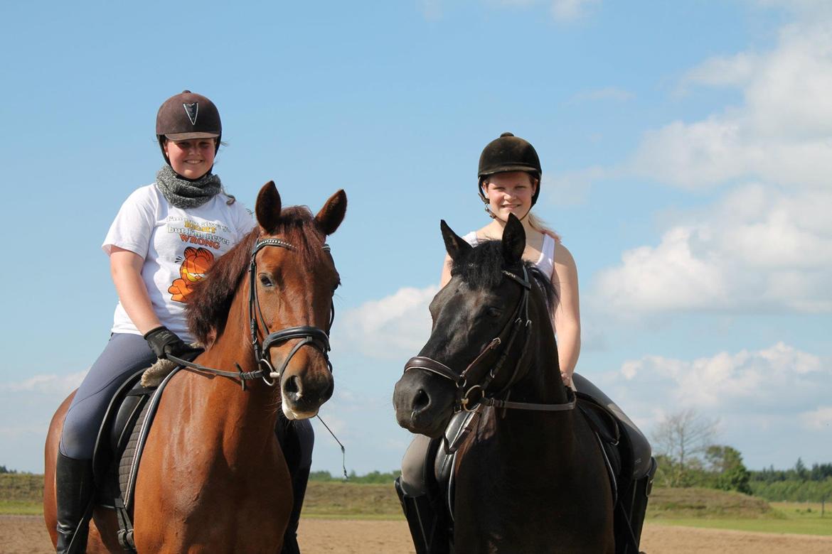 New Forest Vognmandsgården Alkatraz billede 2