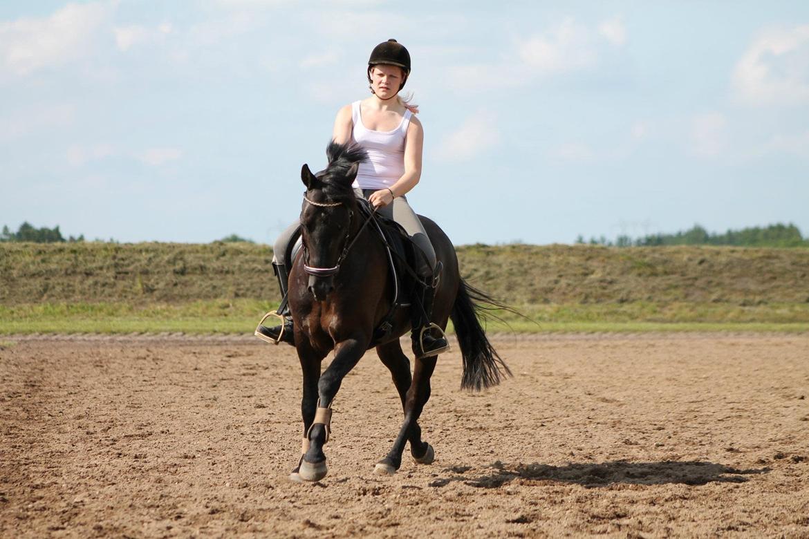 New Forest Vognmandsgården Alkatraz billede 4