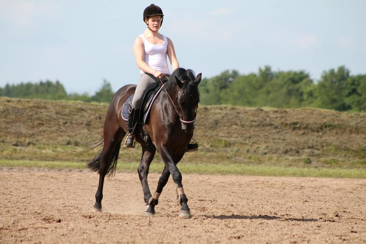 New Forest Vognmandsgården Alkatraz billede 6