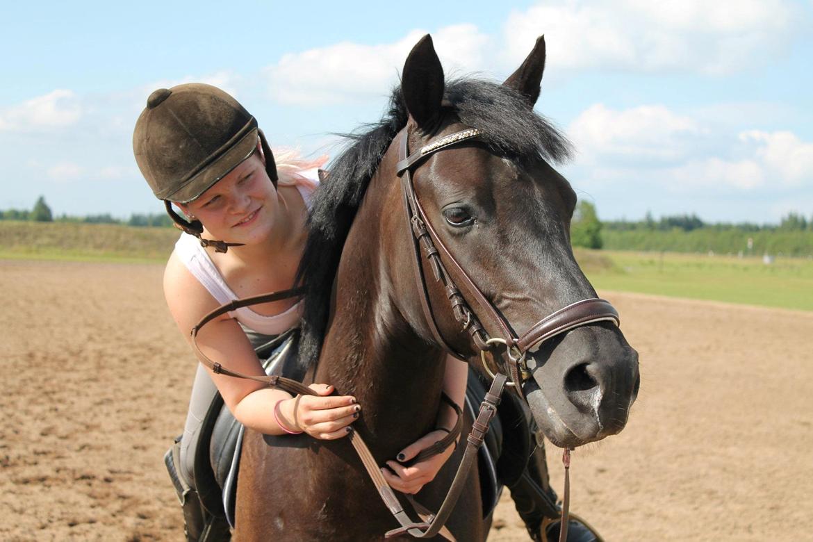 New Forest Vognmandsgården Alkatraz billede 9